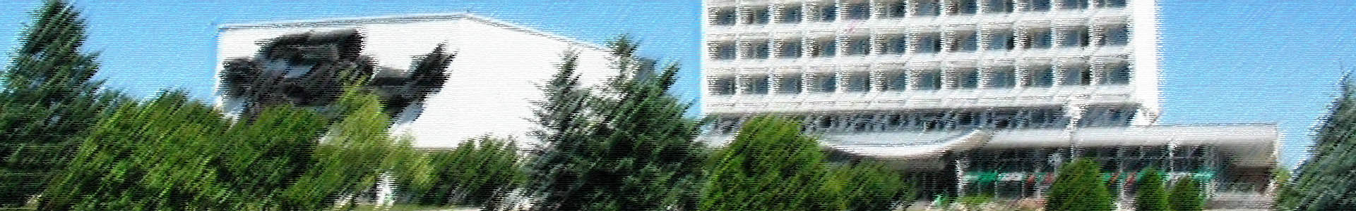 index1.jpg
